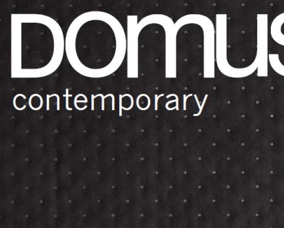 Современный логотип Domus на черном фоне с текстурой.