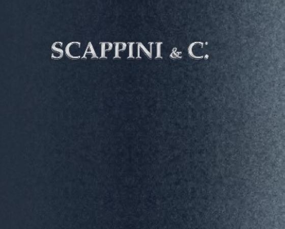 Обложка с текстом SCAPPINI & C., стильная и элегантная, с надписью ATTITUDE.