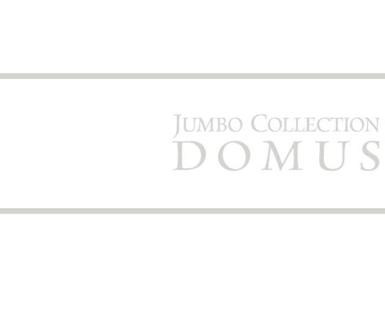 Логотип Jumbo Collection Domus на белом фоне с серыми линиями.
