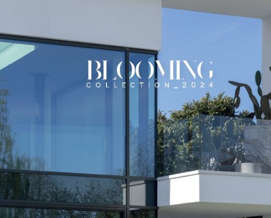 Современный дом с кактусом на балконе, надпись 'Blooming Collection 2024'.