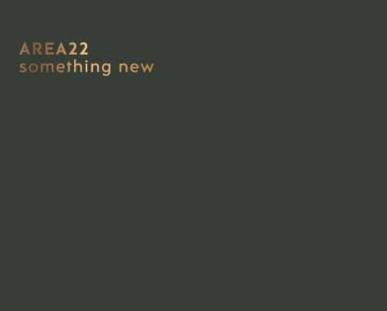 Обложка с надписью 'AREA22 something new' и логотипом dibiesse cucine.
