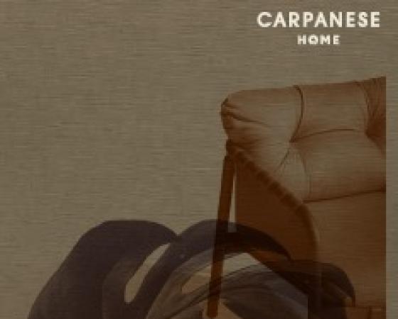 Реклама мебели Carpanese Home с изображением стула и листа.