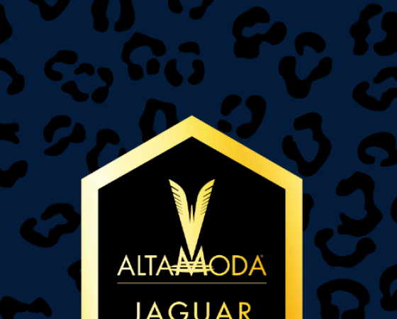 dgmebel ru ALTA MODA 004