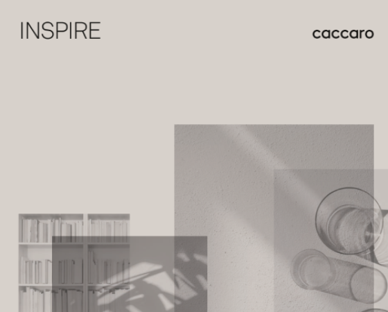 dgmebel ru CACCARO 004