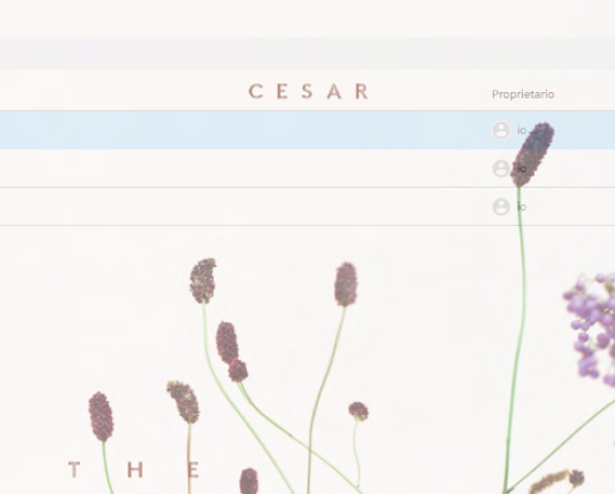 dgmebel ru CESAR 004
