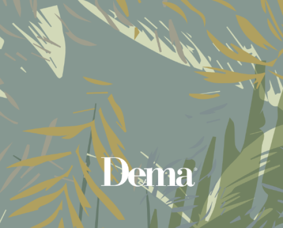 dgmebel ru DEMA 005