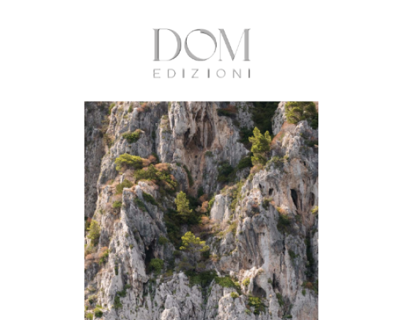 dgmebel ru DOM EDIZIONE 005