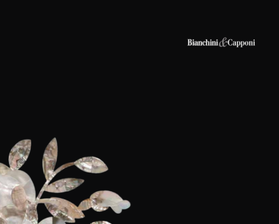 dgmebel ru BIANCHINI CAPPONI 003