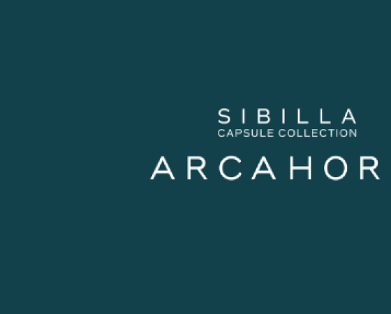dgmebel ru ARCAHORN 004