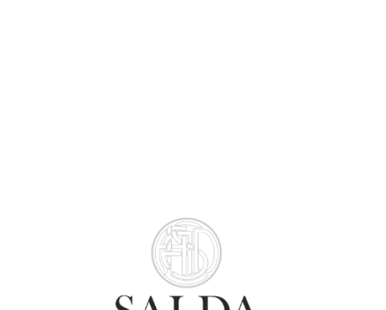 dgmebel ru SALDA 003