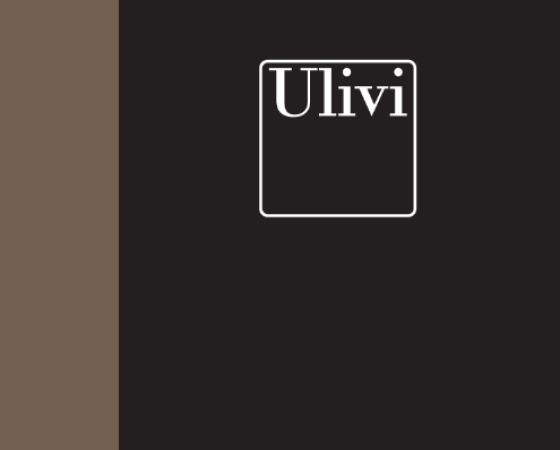 dgmebel ru ULIVI 004