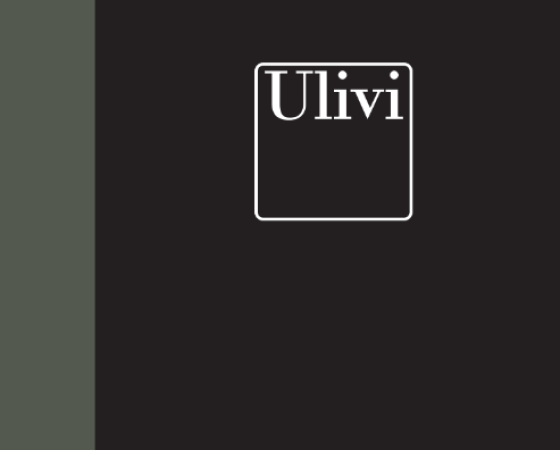 dgmebel ru ULIVI 005
