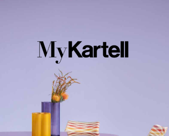 dgmebel ru KARTELL 003