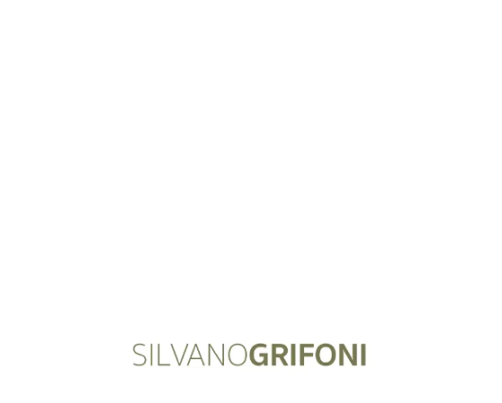 dgmebel ru SILVANO GRIFONI 003