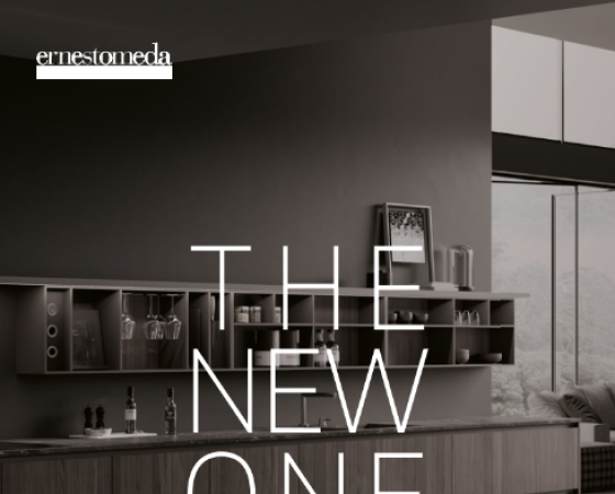 dgmebel ru ERNESTOMEDA 003
