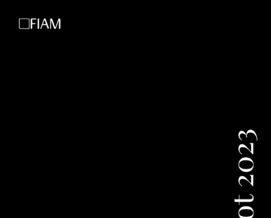 dgmebel ru FIAM 005