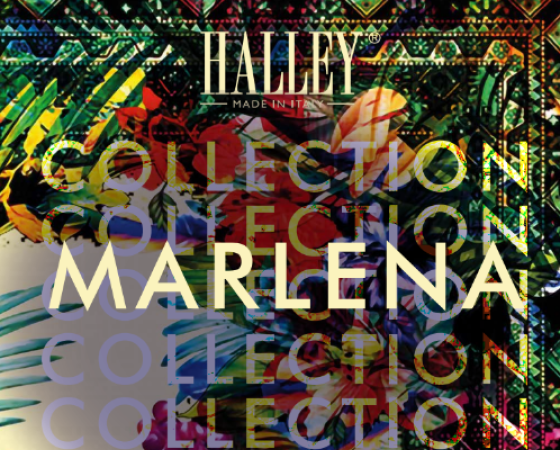 dgmebel ru HALLEY 004