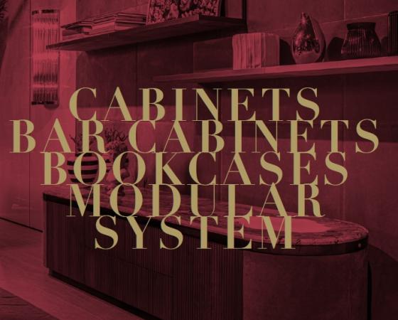 Мебель: шкафы, барные шкафы, книжные полки, модульные системы для дома.