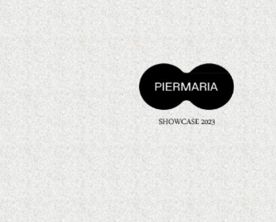 dgmebel ru PIERMARIA 006