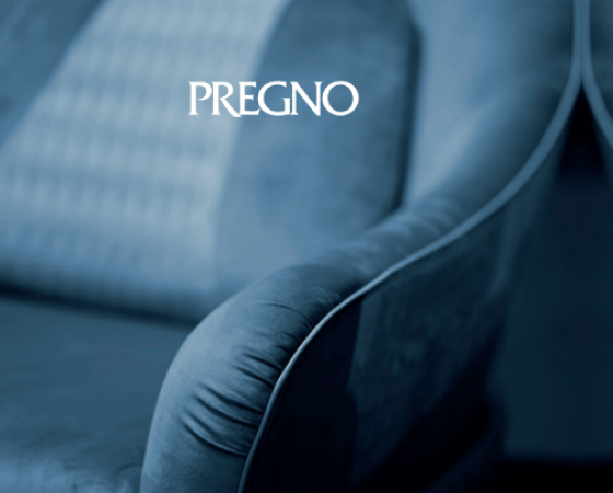 dgmebel ru PREGNO 003