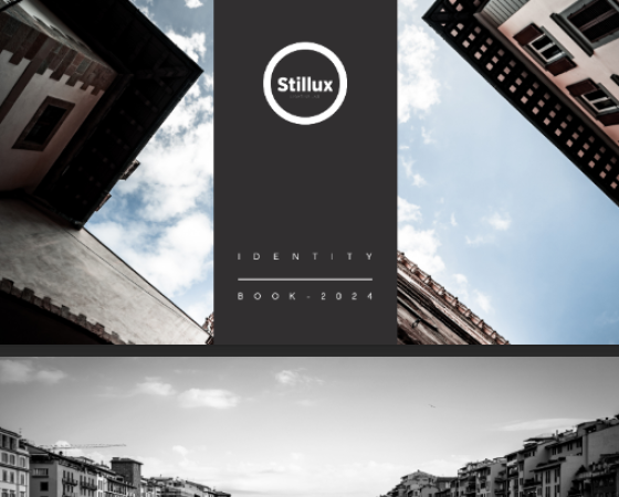 dgmebel ru STILLUX 005