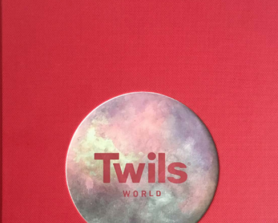 dgmebel ru TWILS 005