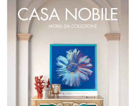 dgmebel ru CASA NOBILE 004