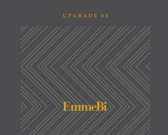dgmebel ru EMMEBI 003