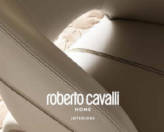 dgmebel ru ROBERTO CAVALLI 003