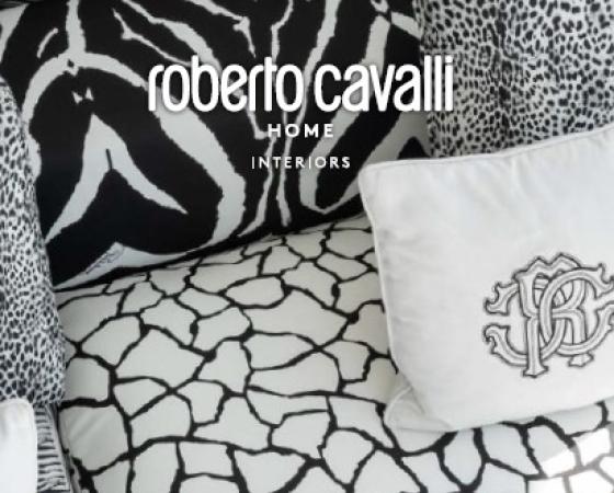 dgmebel ru ROBERTO CAVALLI 004