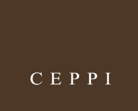 Итальянская роскошная мебель от Ceppi в современном стиле.